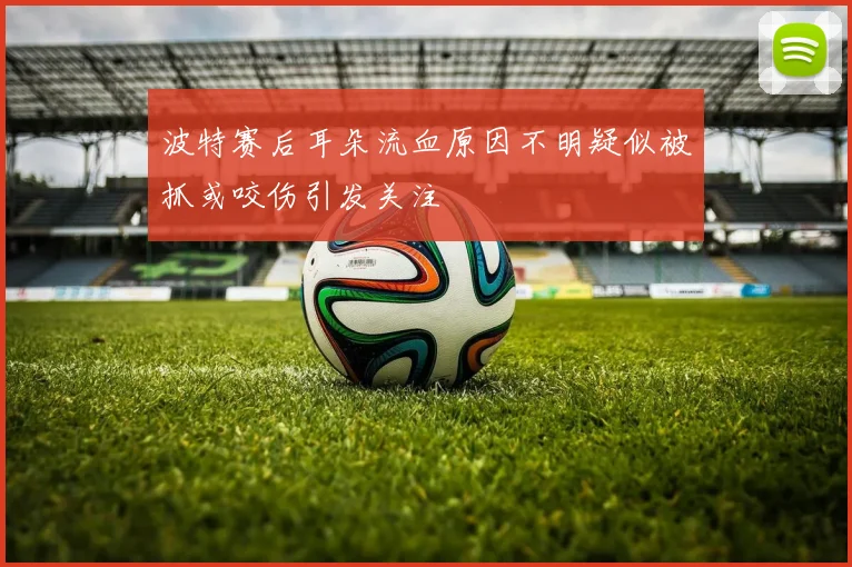 波特赛后耳朵流血原因不明疑似被抓或咬伤引发关注